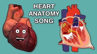 HEART ANATOMY SONG [upl. by Miles]