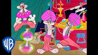 Looney Tunes  Genie Bugs  Classic Cartoon  WB Kid [upl. by Artemla]