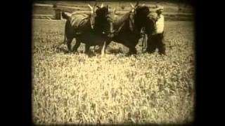 Landwirtschaft gestern Ackerbau in der Schweiz um 1936 [upl. by Nehgam760]