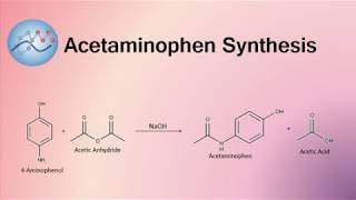 Acetaminophen Synthesis Mechanism  Organic Chemistry [upl. by Bosson]