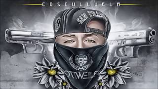 Cosculluela  La Nueve y La Fory Audio Oficial [upl. by Animahs441]