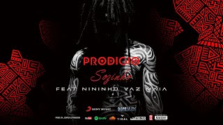 Prodígio Sozinho Feat Nininho Vaz Maia [upl. by Turtle]