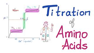 Titration of Amino Acids  pH pKa1 and pKa2  Isoelectric Point Amino Acids Part 4 [upl. by Llenra571]