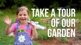 How To Start A Vegetable Garden  Gardening Tips [upl. by Rhu984]