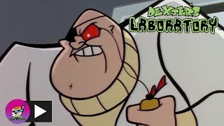 Dexters Laboratory  Photo Finish  Cartoon Network [upl. by Alahc233]