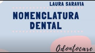 Nomenclatura dental introducción grupos dentarios nomenclaturas PALMER ADA FDI [upl. by Ecirtal186]