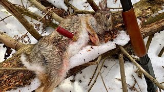 Rabbit Hunting Tips for Beginners [upl. by Nilreb]