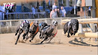 British greyhound racing  Track race [upl. by Bevon]