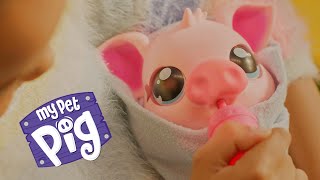 Little Live Pets  My Pet Pig  TVC 30 [upl. by Euginimod]