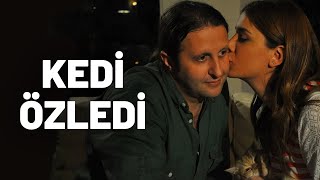 Kedi Özledi  Tek Parça Film Yerli Komedi [upl. by Schechter]