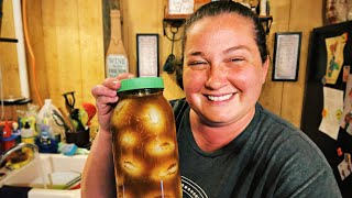 The Worlds BEST Pickled Eggs  Step By Step Recipe [upl. by Halbert]