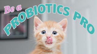 Probiotics for Kittens Be a Probiotics PRO [upl. by Ylsew916]