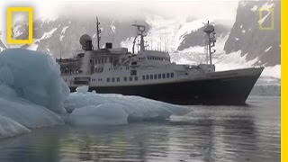 Killer Whales vs Minke Whale  National Geographic [upl. by Ronaele]