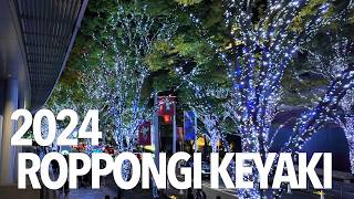 2024 Roppongi Keyaki Illumination [upl. by Dryfoos567]