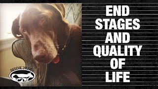 END STAGES amp QUALITY OF LIFE [upl. by Amsirahc]