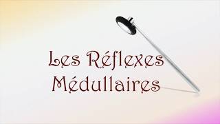 Neurofacile 9  Les réflexes médullaires [upl. by Langelo]