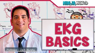 Cardiovascular  EKG Basics [upl. by Eceela928]