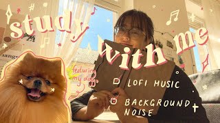 3 Hour STUDY WITH ME  LOFI MUSIC amp Background Noises [upl. by Aitram]