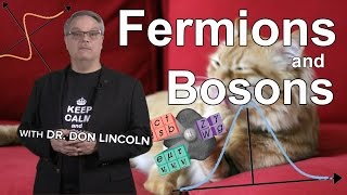 Fermions and Bosons [upl. by Cressida]