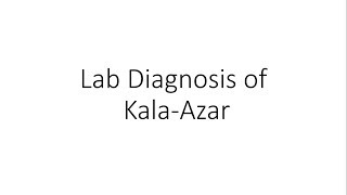 Laboratory Diagnosis of Kala Azar  Parasitology [upl. by Allred]