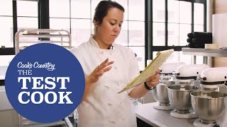 THE TEST COOK SUPERCUT How Cecelia Reached the Perfect Cuban Sandwich Recipe [upl. by Rimaa118]