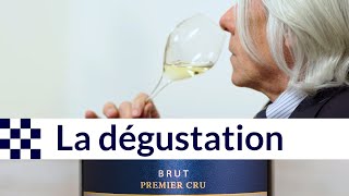 Conseils pour la dégustation du Champagne [upl. by Tamra]