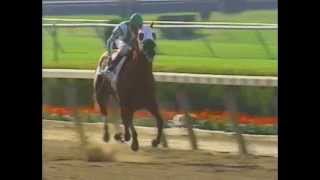 2001 Belmont Stakes  Point Given  Full Broadcast [upl. by Ernest]