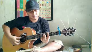 My Heart Will Go On  Celine Dion fingerstyle cover [upl. by Keverne]