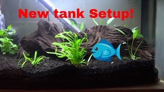 love fish panorama 40l setup [upl. by Demott344]