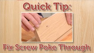 Quick Tip Fix a Protruding Screw [upl. by Sinclare]