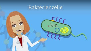 Bakterienzelle  Aufbau amp Funktion einfach erklärt  Studyflix [upl. by Faber]