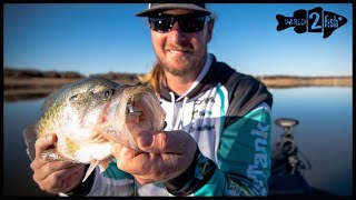 Crappie Fishing for Winter Giants  5 Modern Tips [upl. by Witha]