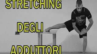 Stretching Parte 5 Adduttori [upl. by Nillor]