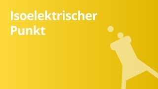 Aminosäuren isoelektrischer Punkt  Chemie [upl. by Weisman]