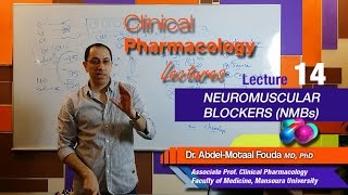 Autonomic Pharmacology Ar  Lec 14  Neuromuscular blockers NMBs [upl. by Gareth745]