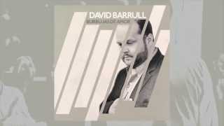 David Barrull  Burbujas de Amor  Lyric Video [upl. by Ervin539]