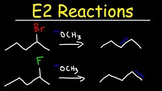 E2 Reaction Mechanism  Hoffman Elimination vs Zaitsevs Rule [upl. by Norrahc729]