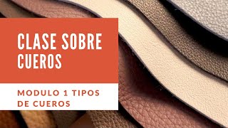 Clase sobre cueros Modulo 1 tipos de cuero Guia para saber comprar cuero [upl. by Gertrud]