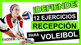 12 EJERCICIOS DE RECEPCIÓN EN VOLEIBOL [upl. by Adivad696]