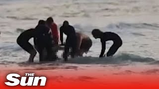 Surfer killed in shark attack on Australias Gold Coast [upl. by Mourant]