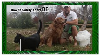 How to SAFELY apply Diatomaceous Earth to your Pets [upl. by Frentz]