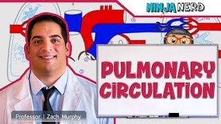 Circulatory System  Pulmonary Circulation [upl. by Annahs689]