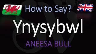 How to Pronounce Ynysybwl CORRECTLY Welsh Village Pronunciation [upl. by Dnalwor751]