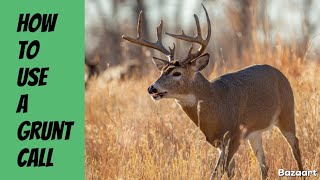 How to use the Deer Grunt call [upl. by Dnamron]