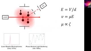 Measuring zeta potential  electrophoretic light scattering [upl. by Bradly]