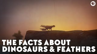 The Facts About Dinosaurs amp Feathers [upl. by Froemming]