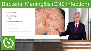 1 Overview meningitis and encephalitis [upl. by Leuqim]