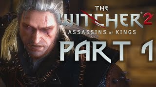 The Witcher 3 Wandering in the Dark Walkthrough Main quest [upl. by Ettelohcin]