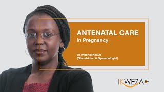 ANTENATAL CARE IN PREGNANCY [upl. by Wellington]