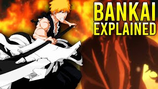 Bankai EXPLAINED [upl. by Eulalie]